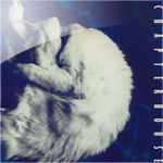 chapterhouse / whirlpool