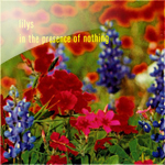 lilys / in the presence of nothing